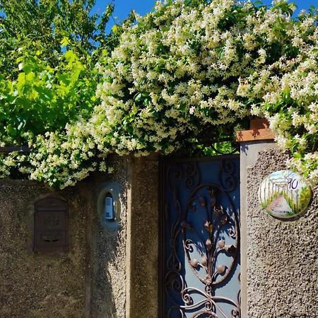 La Primavera Anacapri  Exterior photo